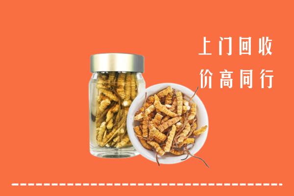 收购行情：巴塘县回收冬虫夏草